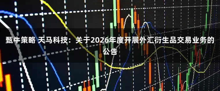 甄牛策略 天马科技：关于2026年度开展外汇衍生品交易业务的公告